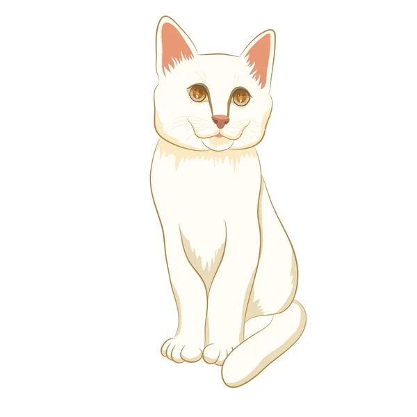 Дорослий білий кіт сидить реалістично — стоковий вектор