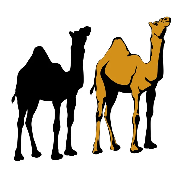 Silueta de camello realista conjunto negro — Vector de stock