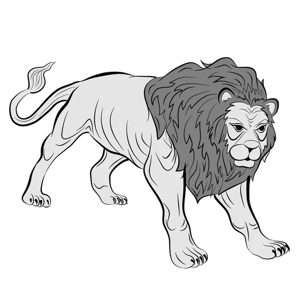 リアルな大人の雄ライオン — ストックベクタ