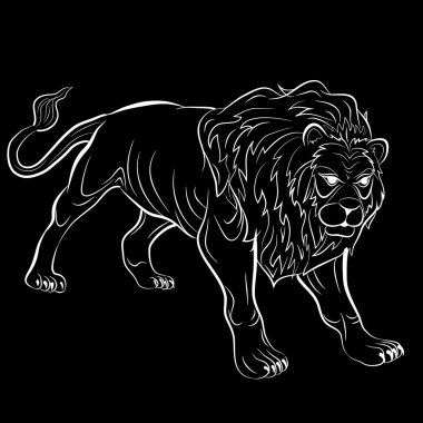 yetişkin erkek aslan gerçekçi vektör çizim