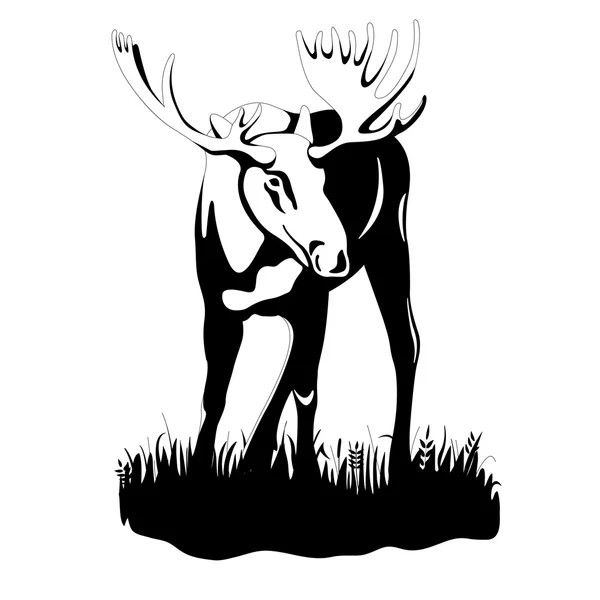 Volwassen zwarte eland silhouet — Stockvector