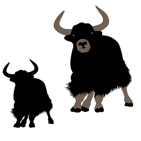 Ορίστε musk βόδι βουνό yak ορεινού bull Royalty Free Διανύσματα Αρχείου