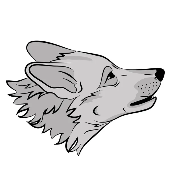 Felnőtt wolf fej arc reális — Stock Vector