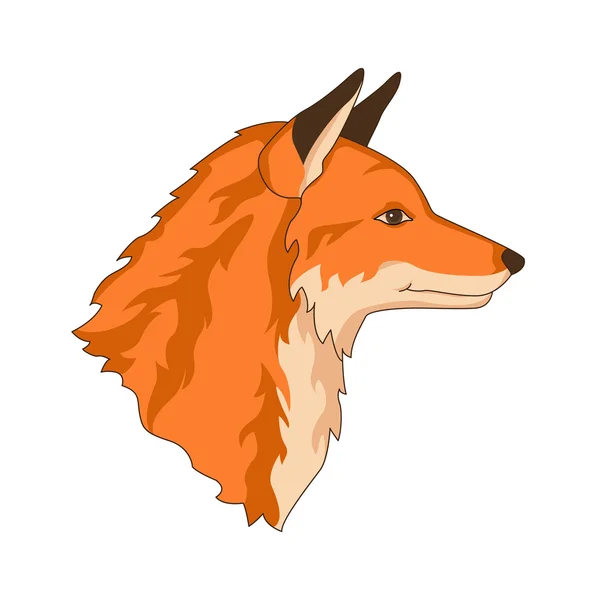 Fuchs roter Kopf Gesicht realistisch — Stockvektor