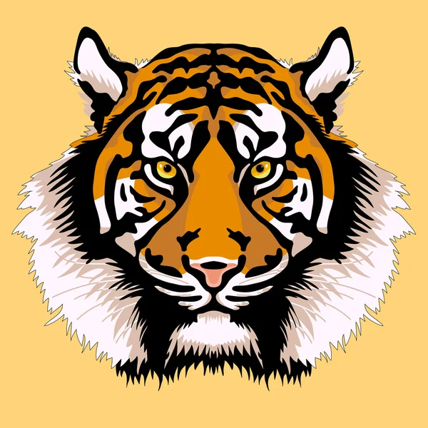 Cara de tigre adulto cabeza — Vector de stock