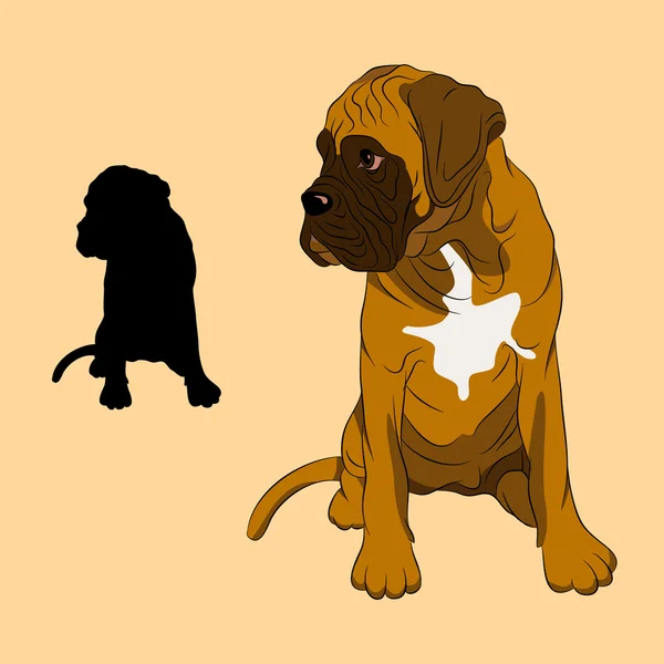 Cachorro de perro boxeador realista — Vector de stock