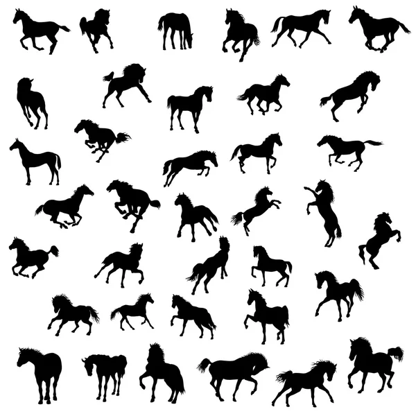 Horse  big set of black silhouette — Stock Vector