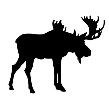 Yetişkin geyik siyah siluet 