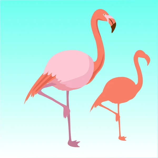 Roze flamingo vogel silhouet — Stockvector