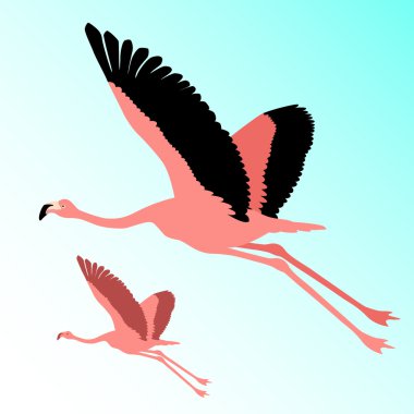 Pembe flamingo kuş uçan siluet 