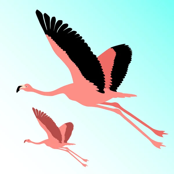 Ροζ φλαμίνγκο πουλιών που φέρουν σιλουέτα — Διανυσματικό Αρχείο