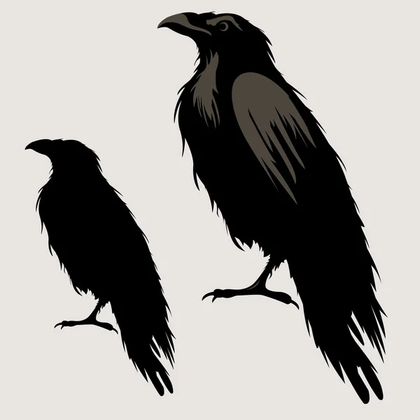 Чорний ворон пташиний силует Стокова Ілюстрація