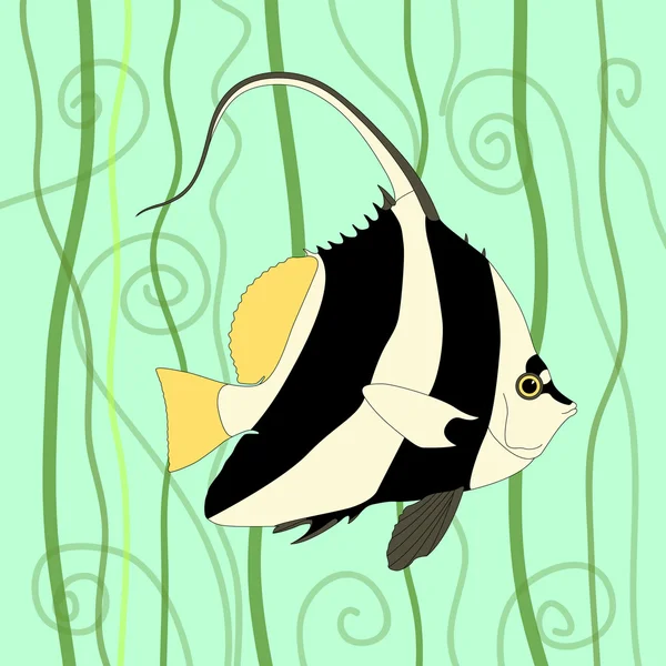 Ilustração do vetor Pennant coralfish — Vetor de Stock