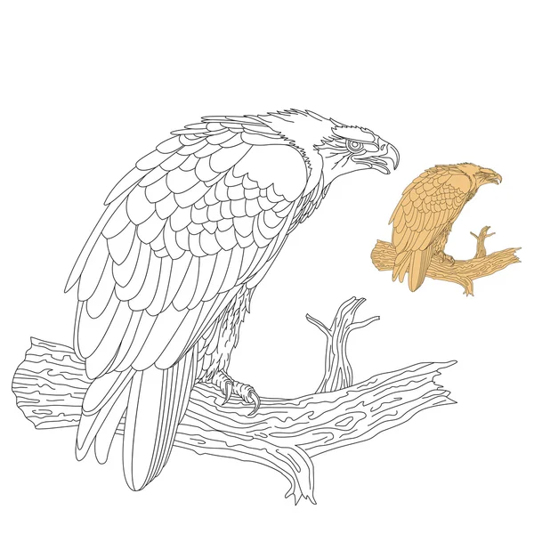 Aigle tacheté ligne noire dessin v — Image vectorielle