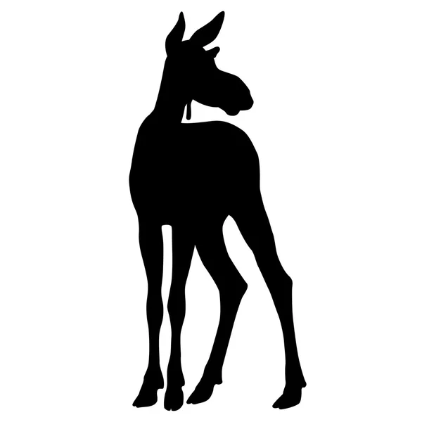 Moose jonge zwarte silhouet — Stockvector