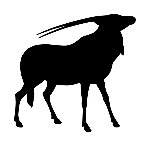 Oryks felnőtt antilop fekete sziluettje — Stock Vector