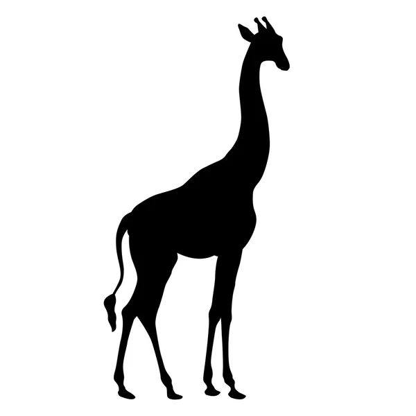 Жираф для дорослих чорний силует Ліцензійні Стокові Вектори
