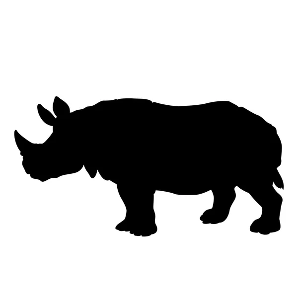 Дорослий чорний силует носорога Ліцензійні Стокові Вектори