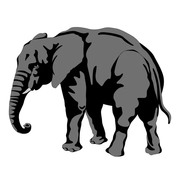 Elefante macho adulto silueta gris negro — Vector de stock