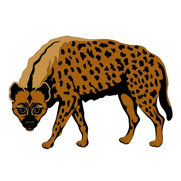 Adulto hiena manchado cor preto —  Vetores de Stock