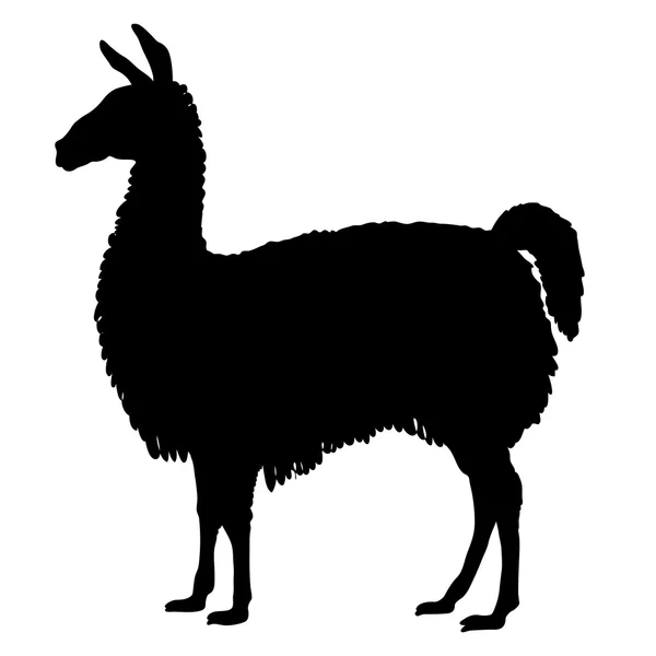 Lama silueta negra para adultos — Vector de stock