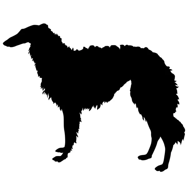 Cão galgo preto branco — Vetor de Stock