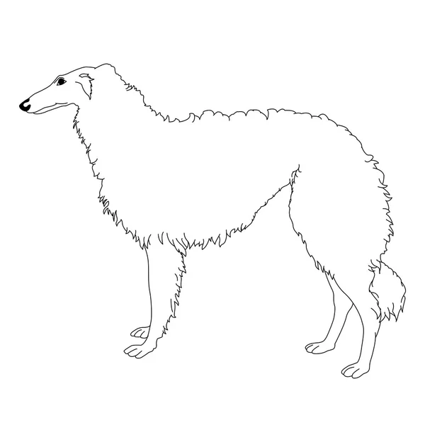 Agár-kutya fekete fehér — Stock Vector