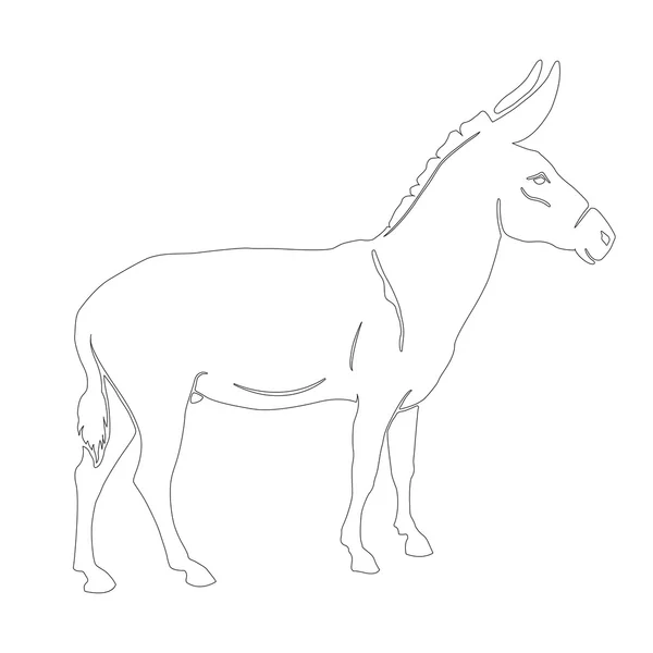 Silueta de burro vector ilustración — Vector de stock