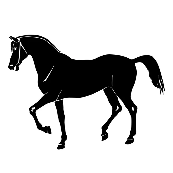 Silueta de caballo negro blanco — Vector de stock