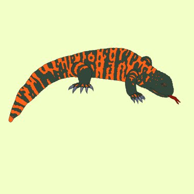 Amazon kertenkele gila