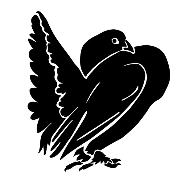 Zwarte silhouet duif — Stockvector