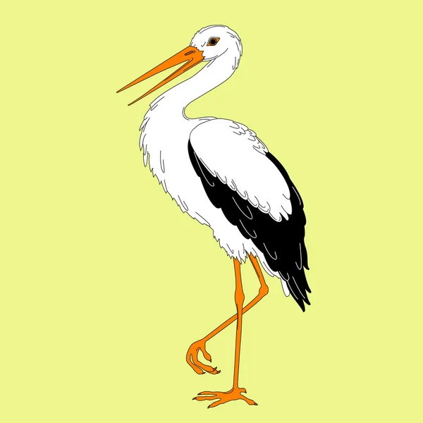 Cigogne blanche isolée — Image vectorielle