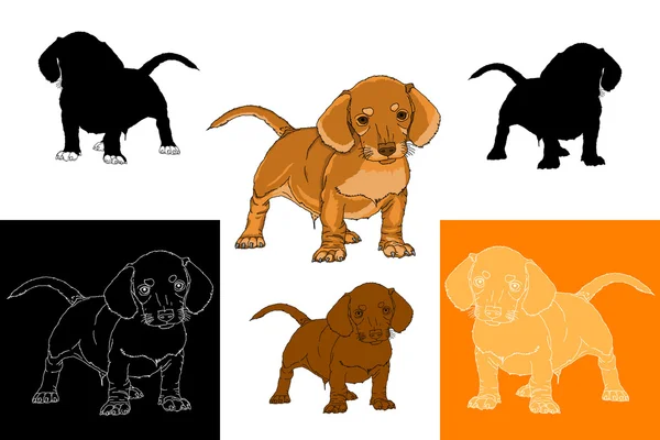 Conjunto perro salchicha cachorro — Vector de stock