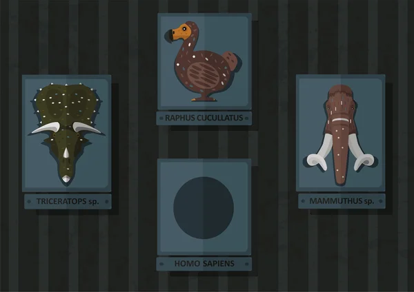 Homo sapiens sonraki soyu tükenmiş bir türü olarak