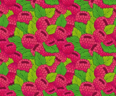 Ahududu Pembe Yaz Desen 5