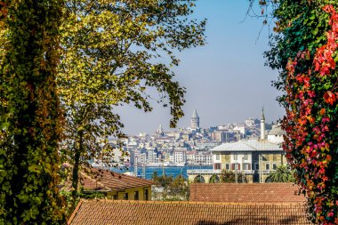 Galata Kulesi manzara sonbahar yaprakları ile. yabani üzüm kırmızı yaprakları