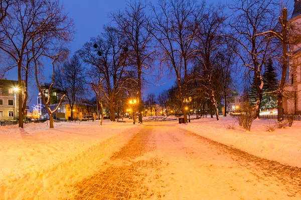 Городской парк зимой ночью — стоковое фото