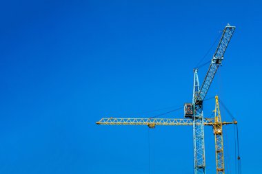 Mavi gökyüzüne karşı iki Vinçler.