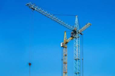 Mavi gökyüzüne karşı iki Vinçler.