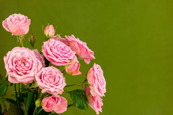 Розовые цветы на фоне geen . — стоковое фото
