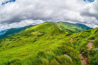 Karpat Dağları. Dağ izi Ukrayna Hoverla en yüksek dağ.