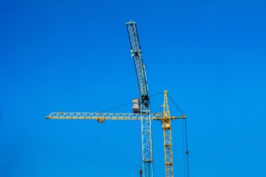 Mavi gökyüzüne karşı iki Vinçler.