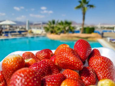 Mısır 'daki Sharm El Sheikh' te havuz üzerine çilek..