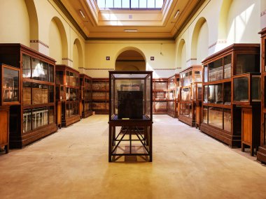 CAIRO, EGYPT - Şubat 2021: Kahire 'deki Mısır Müzesi' nin iç görünümü.