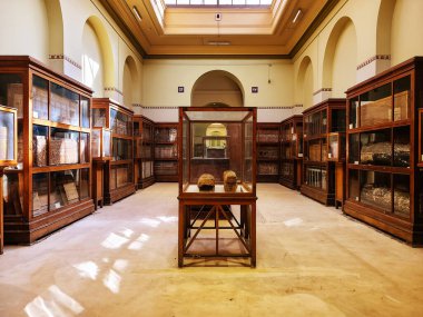 CAIRO, EGYPT - Şubat 2021: Kahire 'deki Mısır Müzesi' nin iç görünümü.