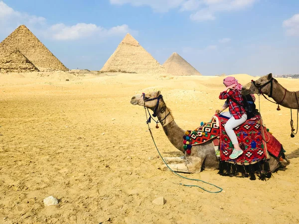 Fille Sur Chameau Près Des Pyramides Gizeh — Photo