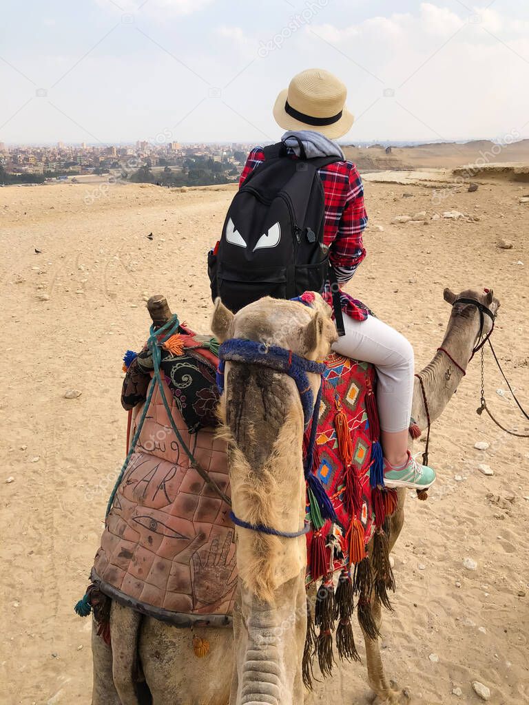Girl on a camel near the pyramids in Giza.