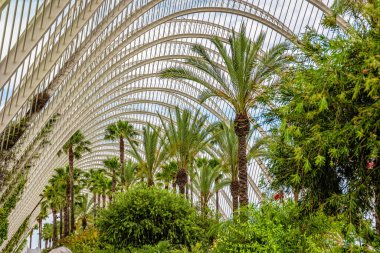 Valencia Sanat ve Bilim Şehri..