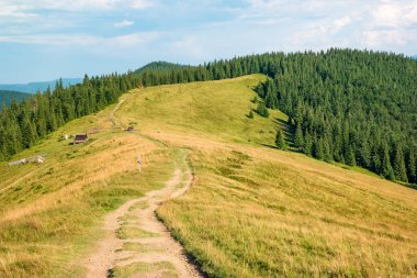 Karpatlar 'daki Yavirnyk çayırında..