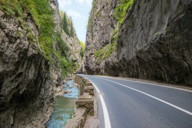 Romanya 'nın Trasylvania kentindeki Bicaz Vadisi.